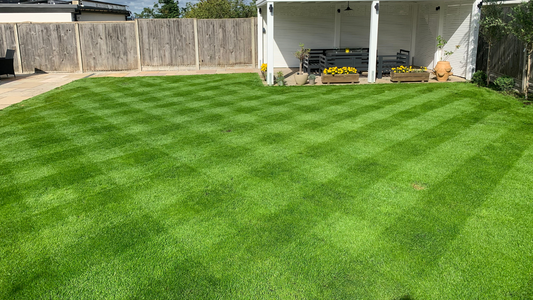 Here's A Guide to Reviving Your Lawn: Renovating a 300m² Lawn.