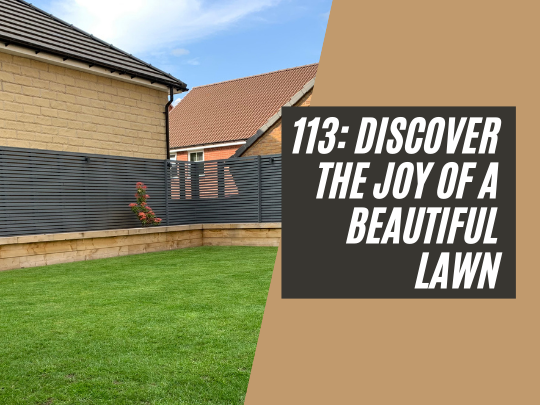 113: Discovering the joy of a beautiful lawn
