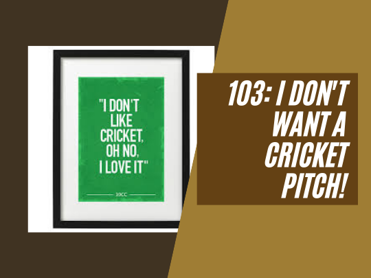 103: I don't want a cricket pitch