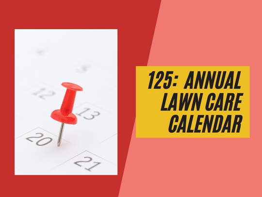 125: A Handy Annual Lawn Care Calendar