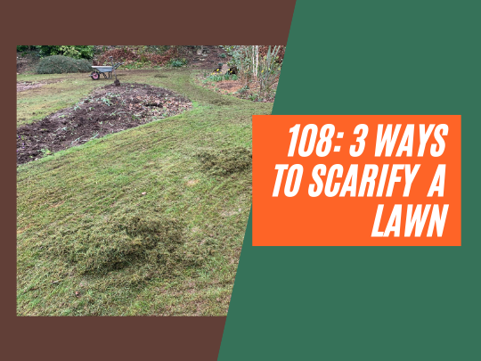 108: 3 ways to scarify a lawn