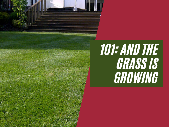 101: And the grass is growing in Harrogate