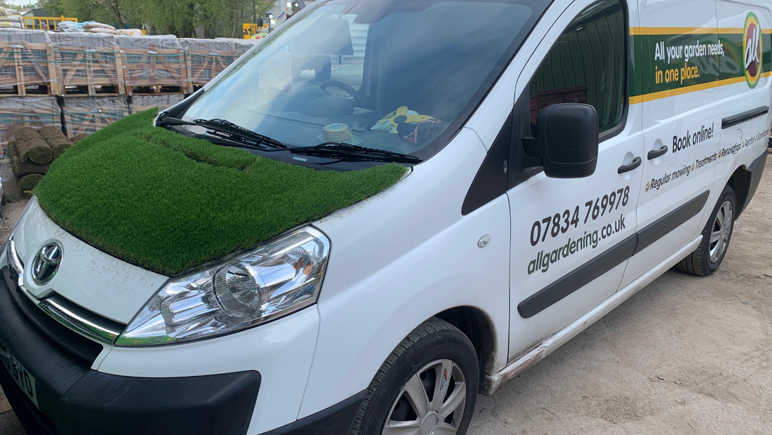213: The grass on my van has to be cut
