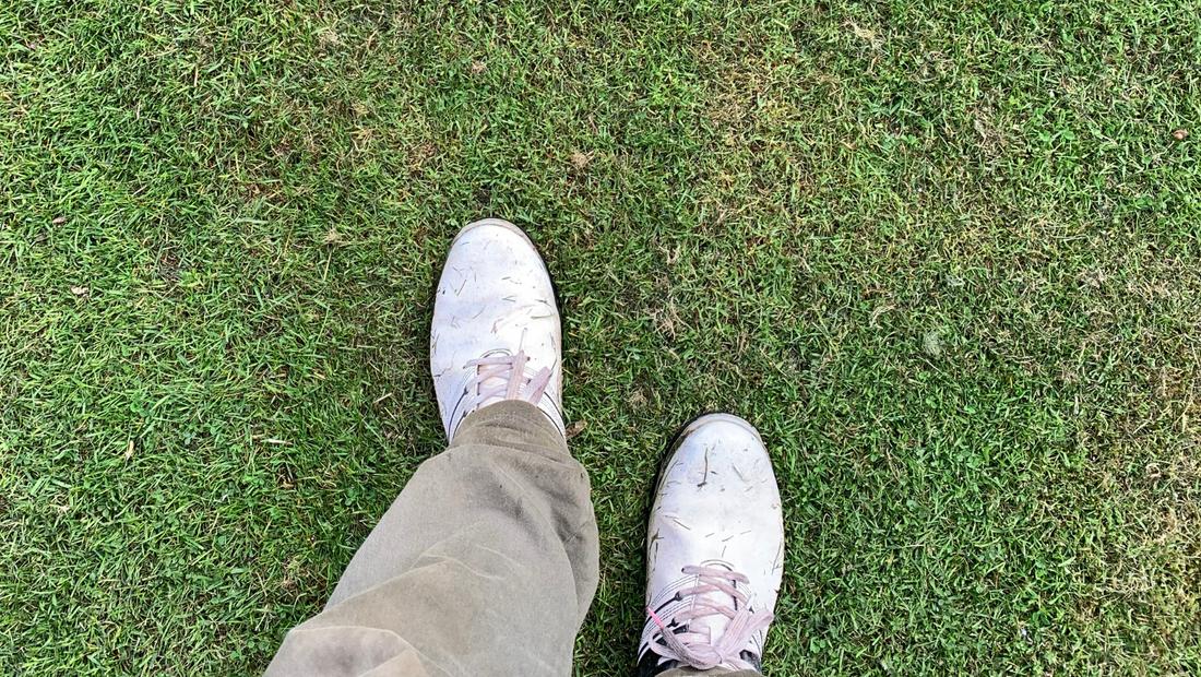 222: Best shoes to wear when working on lawns? Golf Shoes.. err Lawn Shoes