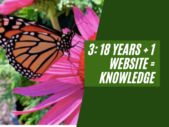 3: 18 years + 1 website = knowledge