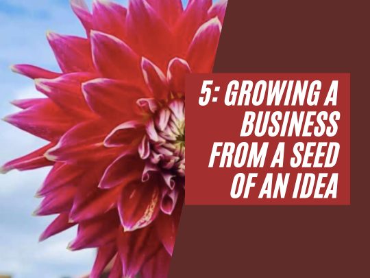 5: Growing a business from a seed of an idea