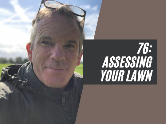 76: How to assess your lawn