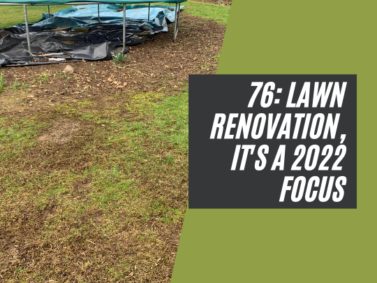 77: Lawn renovation, it's the focus for 2022