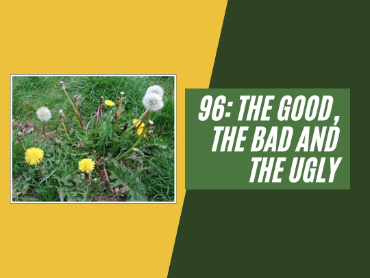 96: The good, the bad and the ugly.